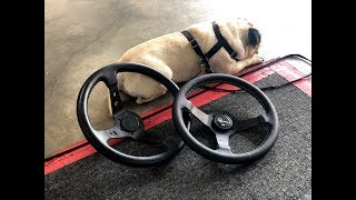 RENOWN VS. VIILANTE Steering wheel! Best Steering wheel for your car