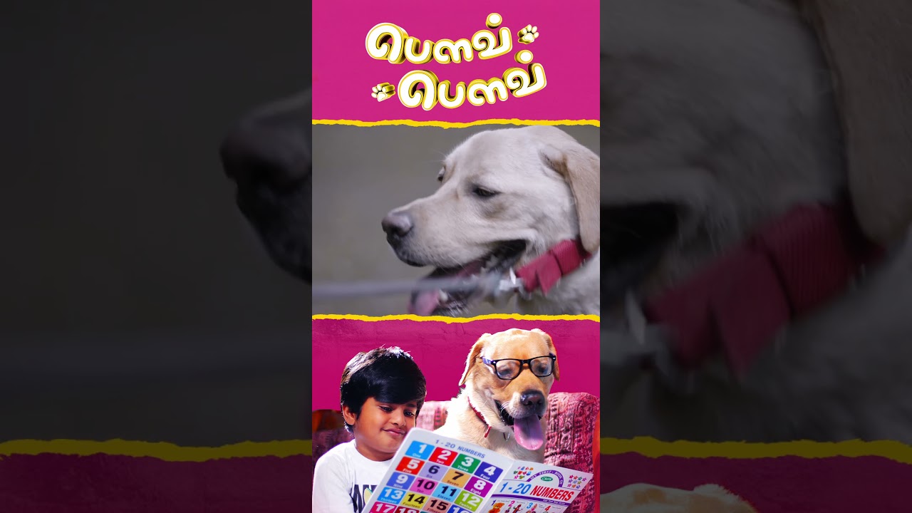 Watch full video👆 Bow Bow Comedy Scenes - 