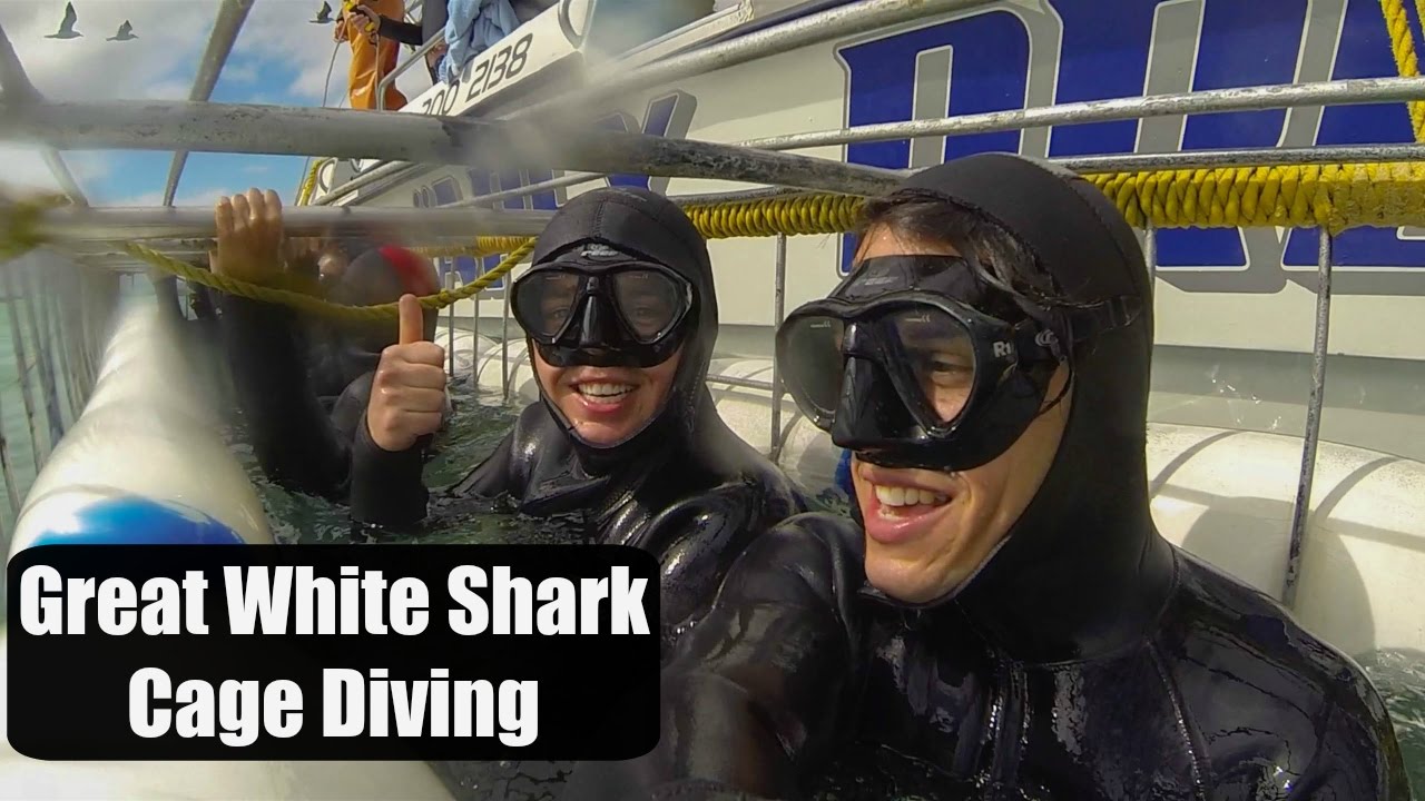 Great White Shark Cage Diving - Cape Town | South Africa - VLOG #15