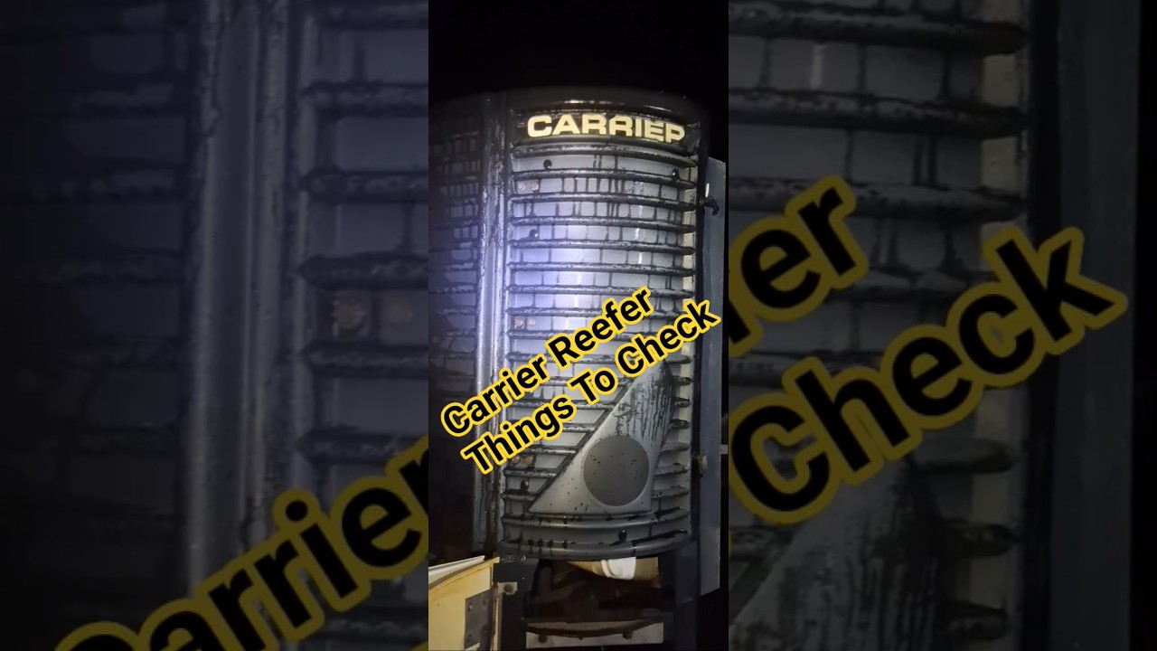 Что нужно проверить в рефрижераторном контейнере