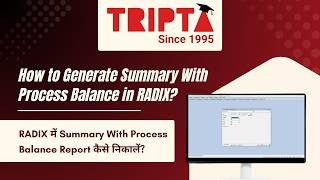 How To Generate Summary With Process Balance Report In Radix Full Tutorial