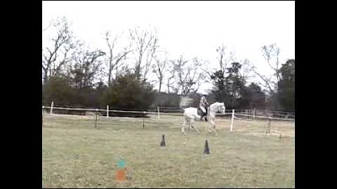 Angela and Certo - Horseman Mounted Refined Workin...