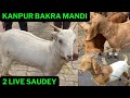 Kanpur bakra mandi  bakreed 2024 k liye qurbani k bakre live trading of goats