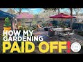 See How My Gardening Yesterday Paid Off