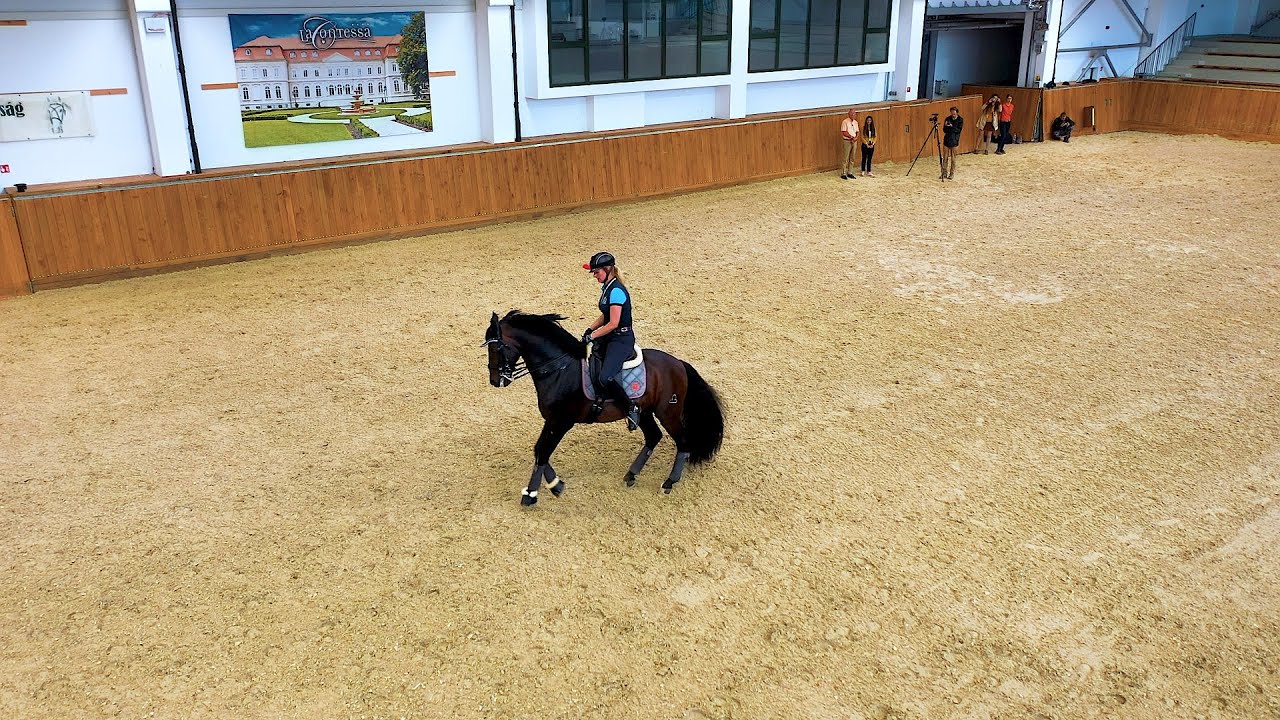 Minden napra lovaskultúra - Piruett, ugrásváltás (Dallos Gyula) (55. rész)