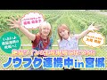 第２回「いよいよ本格始動！宮城県の絶品ワインづくりに潜入‼生産現場で見つけたノウフク連携中の姿とは⁉」