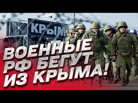 🤡 "Паники нет!" Семьи российских военных бегут из Крыма! Оккупанты нервничают!