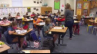 Gov. DeSantis signs bill to replace current FSA with progress monitoring