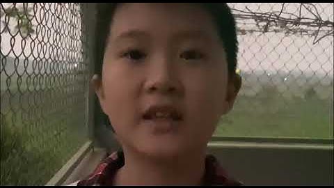 Đại sứ xanh vì một Hà Nội xanh - Nguyễn Bảo Phúc 5D - Trường Tiểu học Chàng Sơn