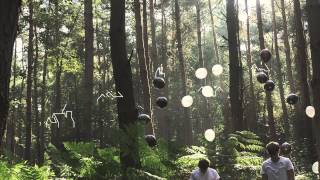 Oso Leone - Ficus