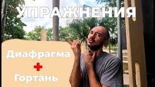 Лечим ЗАИКАНИЕ | Диафрагма и Гортань | Упражнения помогут!