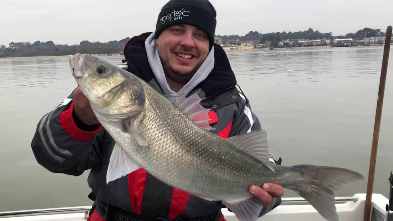 Flounder Fishing In Bass Infested Waters Poole Harbour