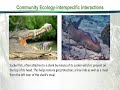 ZOO507 Principles of Animal Ecology Lecture No 53