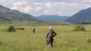 Fly Fishing Slough Creek, July 2023  Yellowstone National Park