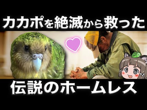【偉業】カカポを絶滅から救った伝説のホームレスを知ってますか？