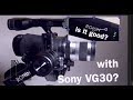 Best gimbal for Sony VG30. Ronin S vs Crane 2 vs Accsoon A1-S