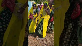 12 हाथ बरिया मा 16 हाथ सोलिया मा | singer anil piplaj adivasi song video 2024
