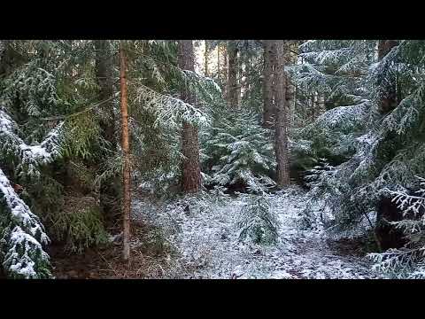 Магия шаманов. Тайны шаманских обрядов .