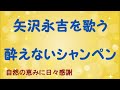 『酔えないシャンペン』/矢沢永吉を歌う_320 by 自然の恵みに日々感謝