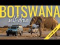 15 top tips for selfdriving in botswana