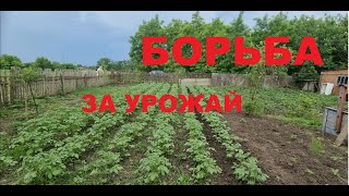 12. КУПИЛИ УСАДЬБУ, ВОССТАНАВЛИВАЕМ! Борьба за урожай.