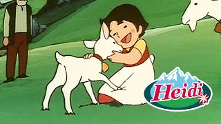 MEJORES EPISODIOS de Heidi ayudando animales 🐐🐺 Episodios completos 🌸 DIBUJOS ANIMADOS para NIÑOS 💕