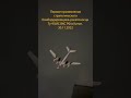 ✈️Историческое видео: первое приземление Ту-95МС в Китае #shorts