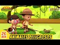 Animales Peligrosos Episodio Compilación [Parte 2/2] (Español) - Leo, El Explorador | Animación