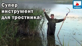 Рыбалка на линя в тростниковом окне и рдесте - где будет он?