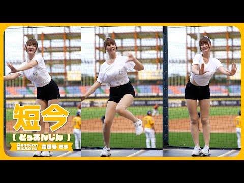 【4K 縦動画】短今（Sammie）サミー Passion Sisters 中信兄弟啦啦隊 CPBL 中華職棒 臺中洲際棒球場 2023/09/10【台湾チアTV】