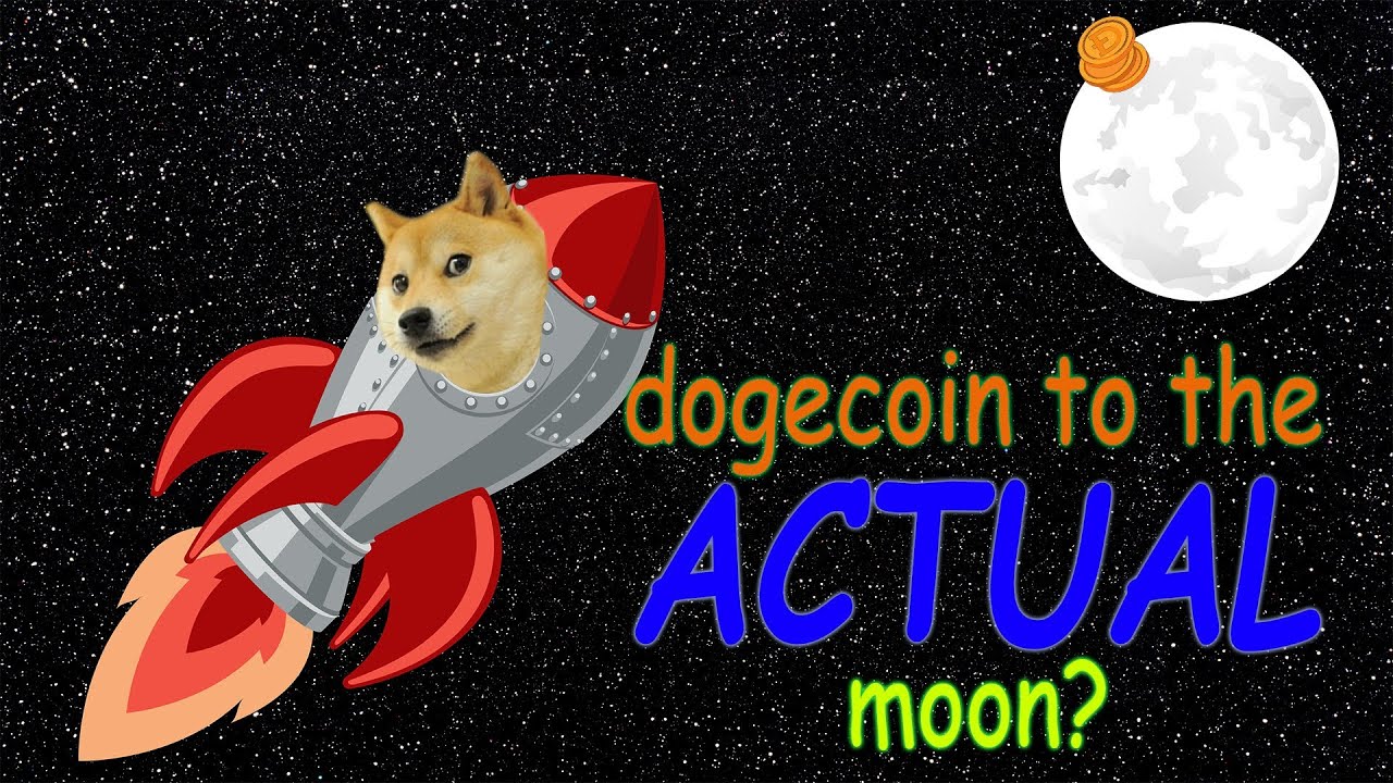 HOLD NDOGE GET DOGE NEW TOKEN FUll REVIEWS X500 SOON PRESALE  COMING SOON