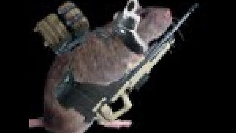 The Cycle Frontier    Reporting a RAT!!!! sorry Yager