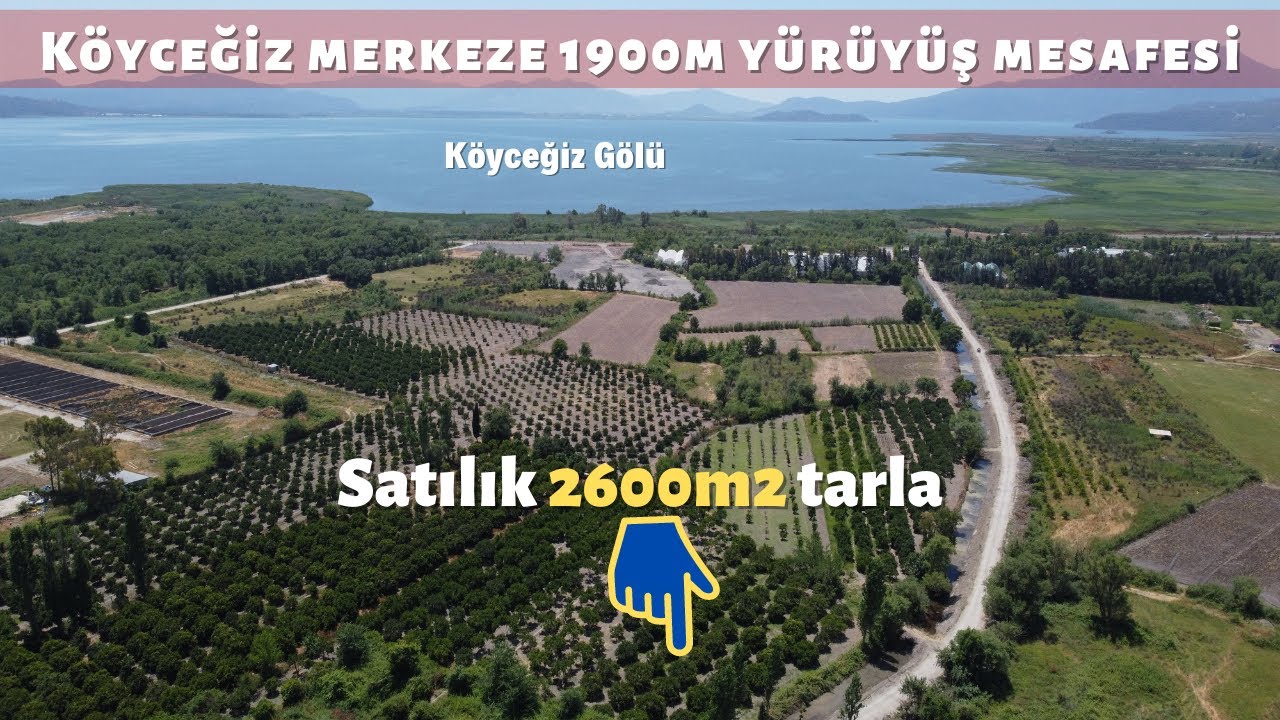 MUĞLA KÖYCEĞİZ TOPARLAR DA SATILIK 2600m2 TARLA NİTELİĞİNDE PORTAKAL