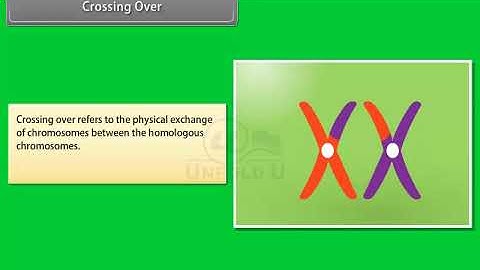 Ch 5 - Principles of inheritance and Variation | Crossing Over