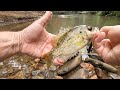 Exploring a New River Fishing Spot