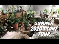 Indoor Houseplant Tour | Houseplant Collection Summer 2020