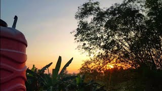 CINEMATIC ALAM 30 DETIK | MORNING TIMELAPSE | NATURE VIDEO AESTHETIC