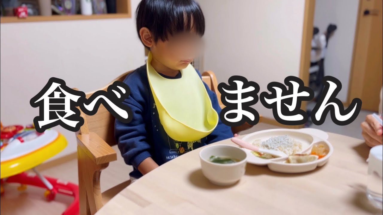 【偏食】超繊細2歳児の食事情/絶対食べない献立集/食べない子はなにしても食べない/イヤイヤ期