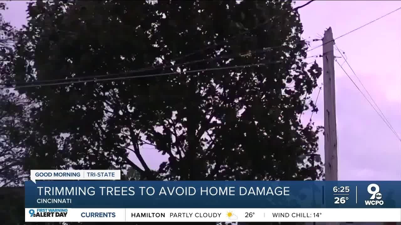 Severe weather a reminder to give your trees an annual checkup - YouTube
