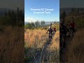 Riding Crawford: Mountain Biking in Kelowna, BC Canada #mountainbike #mtblife #trailriding #ylw