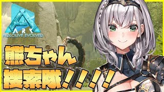 白銀ノエル、Youtube、ライブ、live、ユーチューブ
