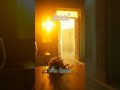 kool #pop #acoustic #folk #ballad #breakup