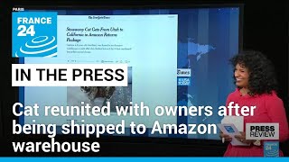 Cat reunited with owners after being accidentally shipped to Amazon warehouse • FRANCE 24 English
