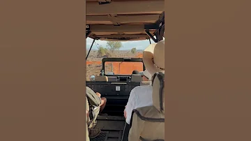 Ride Into The Wild Safari Adventure At Lumo Conservancy Soroi Cheetah Tented Camp 