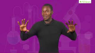 PROPERTIES OF ALKALI | CHEMISTRY | SS1 screenshot 5