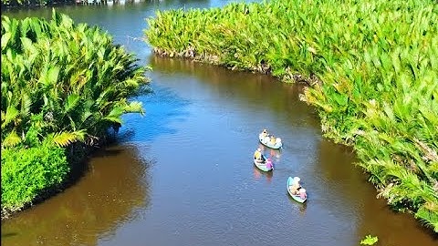 Khám phá rừng dừa nước Cà Ninh, Quảng Ngãi