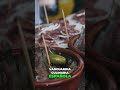 Cocina Creativa: ¡Reinventa Platos Clásicos como un Chef Español! #shorts