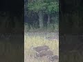 From Quiet to Traffic in Minutes