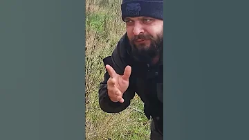 Оса ужалила в губу, досадно, но полезно