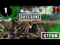 Days Gone-Серия 1(Начало)